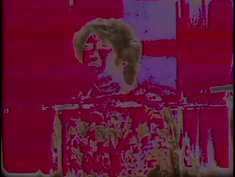 Monkee #1